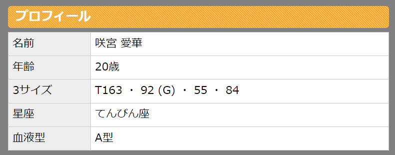 風俗嬢のプロフィール